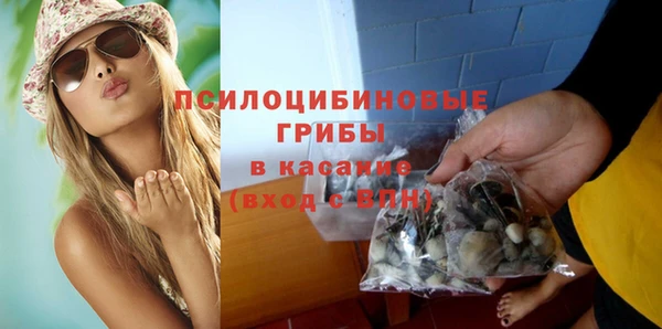 шишки Мегион