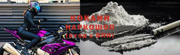 шишки Мегион