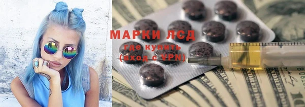шишки Мегион