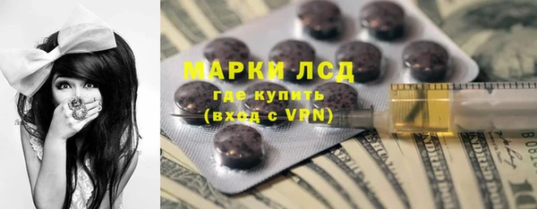 шишки Мегион