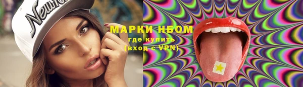 шишки Мегион