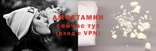 шишки Мегион