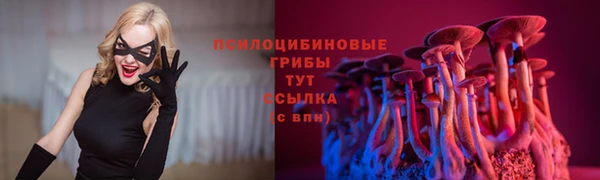 сатива Медногорск