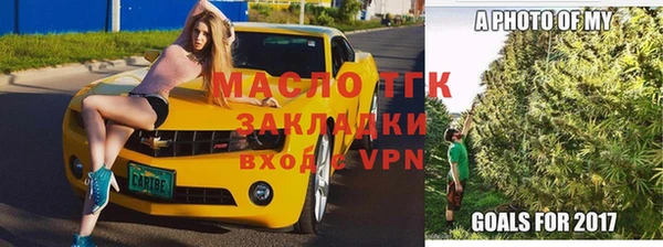шишки Мегион