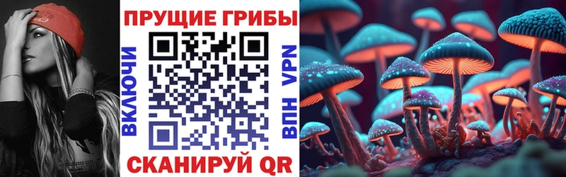наркошоп Нерехта Галлюциногенные грибы MAGIC MUSHROOMS